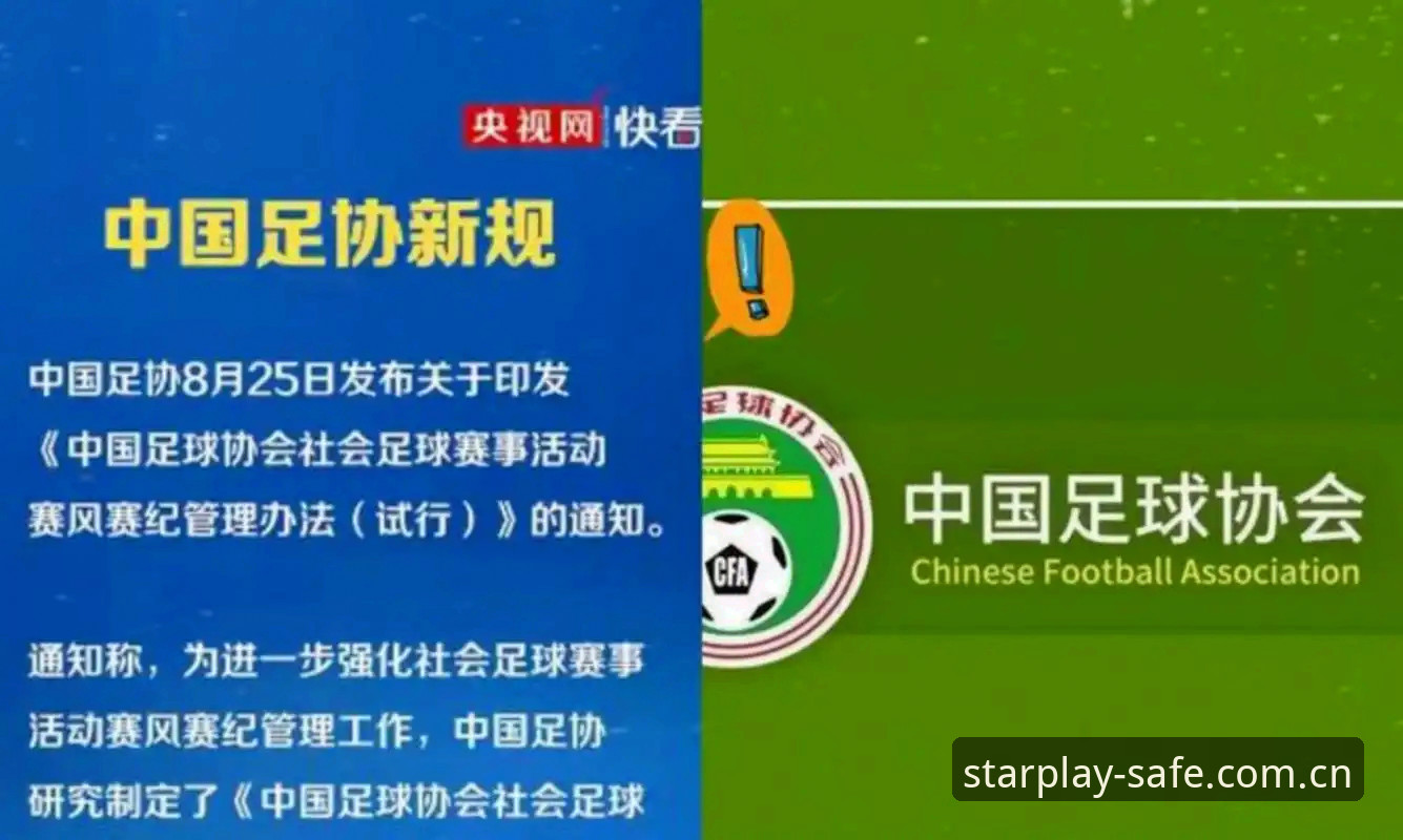 星空体育官网地址 中国足协第三批禁足名单深度分析:行业整顿背后的体育生态重构